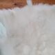 New sheepskin