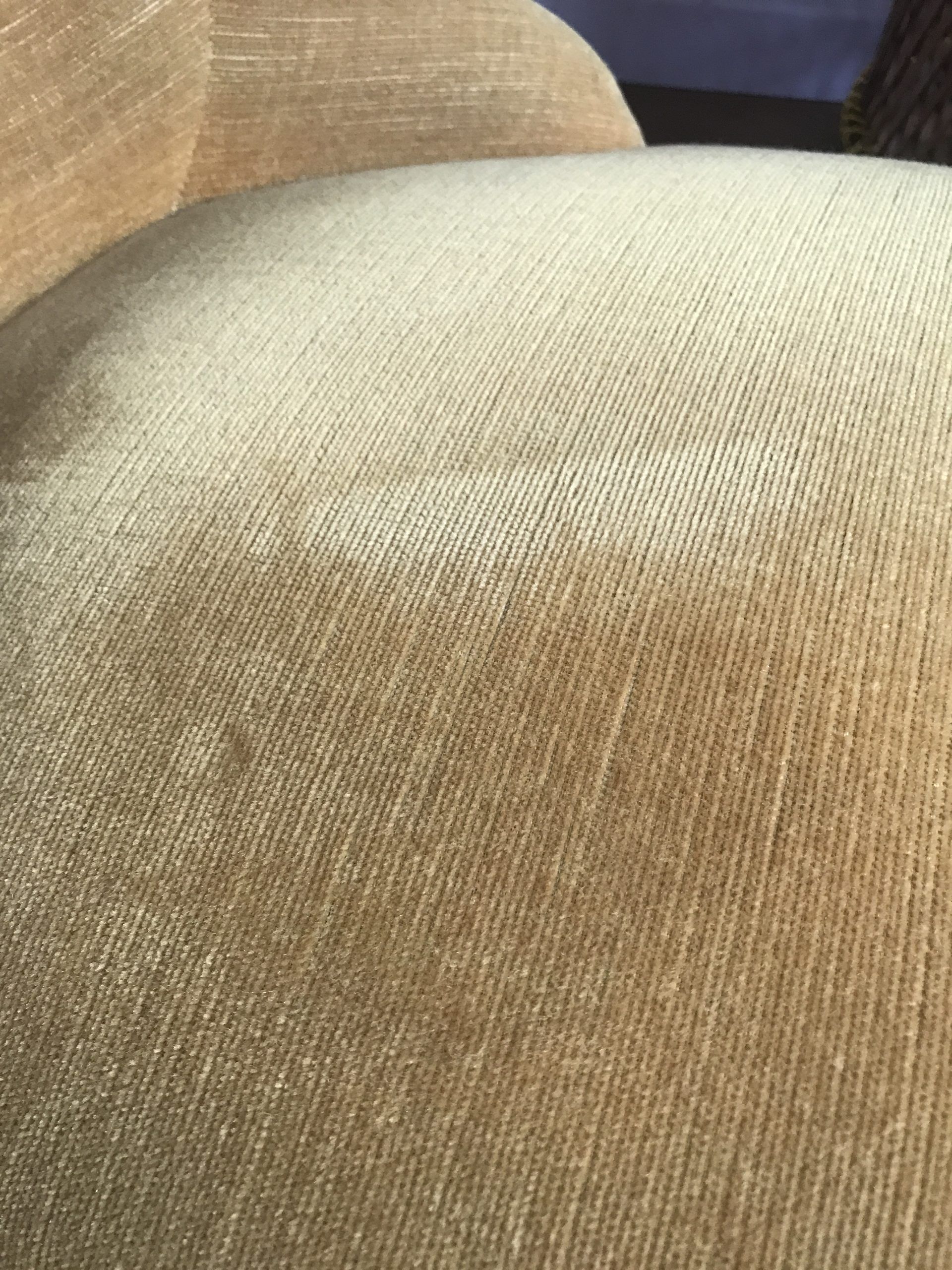 Yellow velvet toad heater