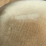 Yellow velvet toad heater