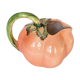 Pitcher slurry Tomato / Pumpkin
