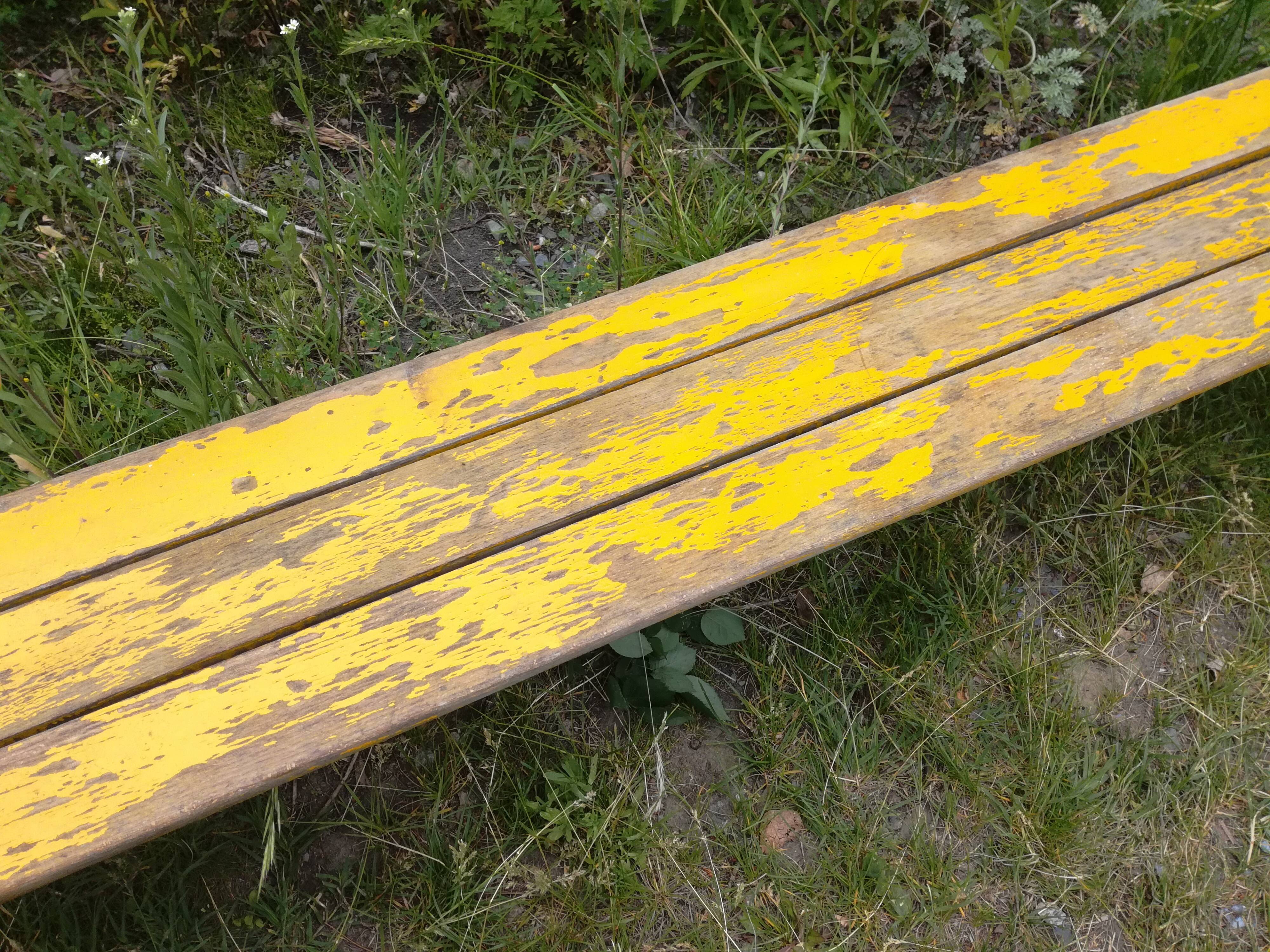 Bench of schoolchildren