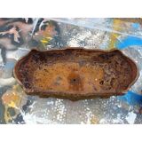 Set of 2 cast iron planters from 1900 from Charleville-Mézières