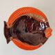Vide poche poissons Vallauris