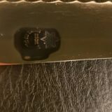 Serrated serving knife in its vintage case