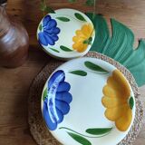 9 assiettes Primula Italie