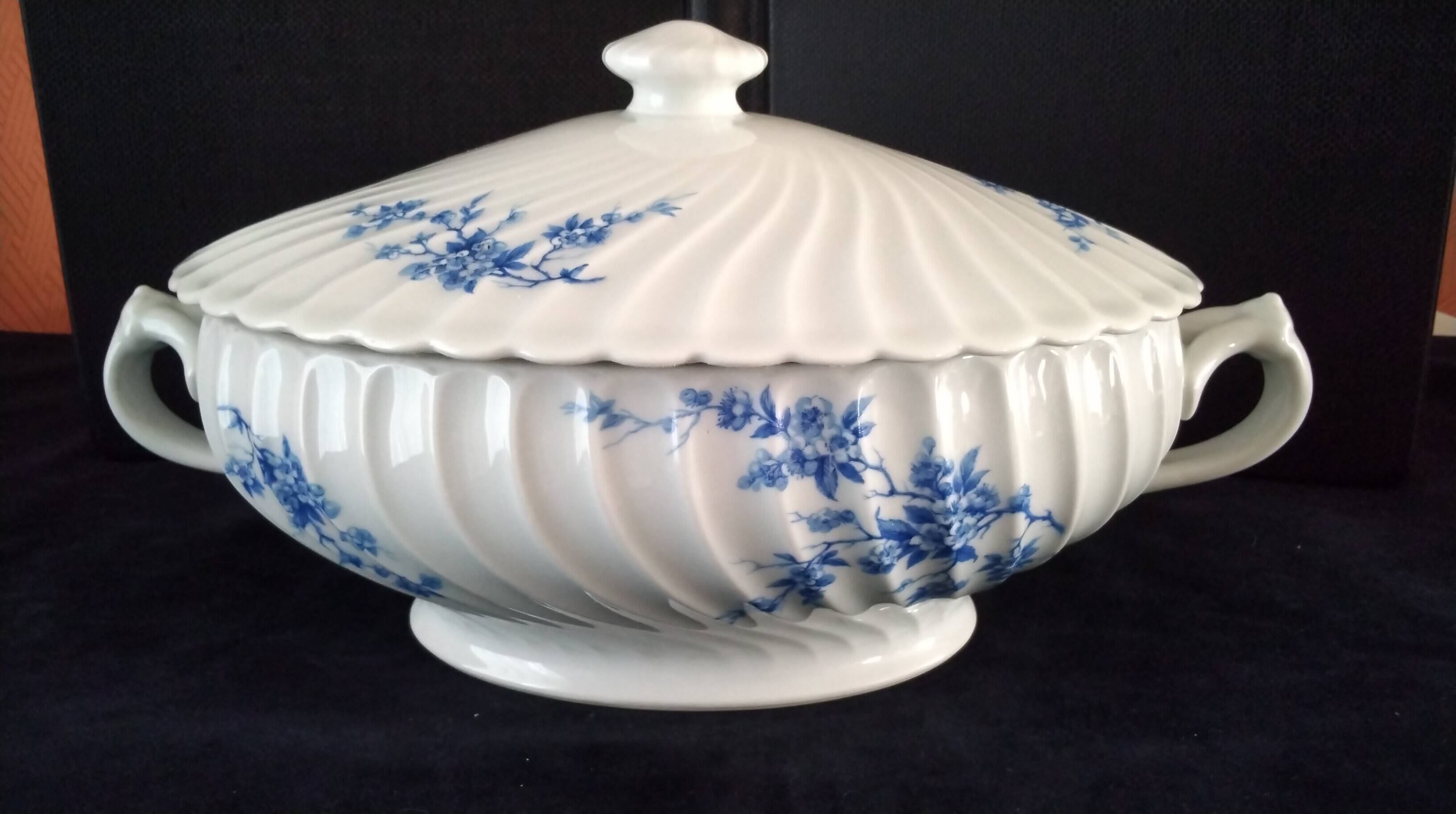 Haviland Limoges porcelain soup tureen