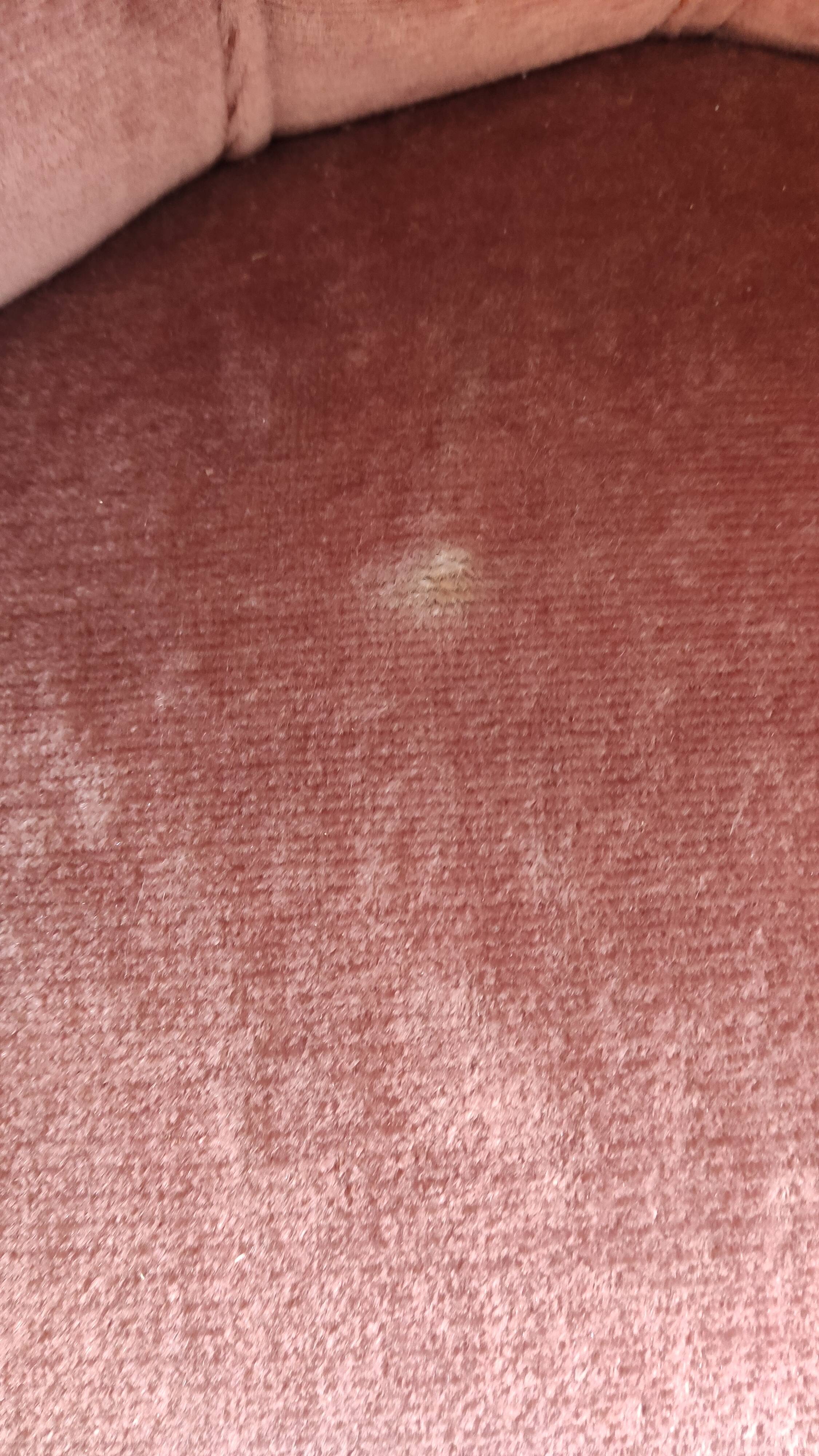 Pair of padded old pink armchairs