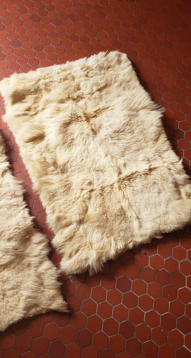 Beige goatskin rug in pair