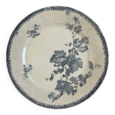 Assiette plate Sarreguemines Groseilles