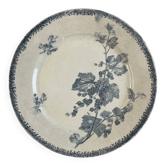 Flat plate Sarreguemines Currants