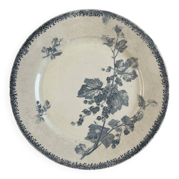 Assiette plate Sarreguemines Groseilles