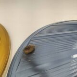 Art Deco glass suspensions