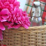 Wicker basket and scoubidou