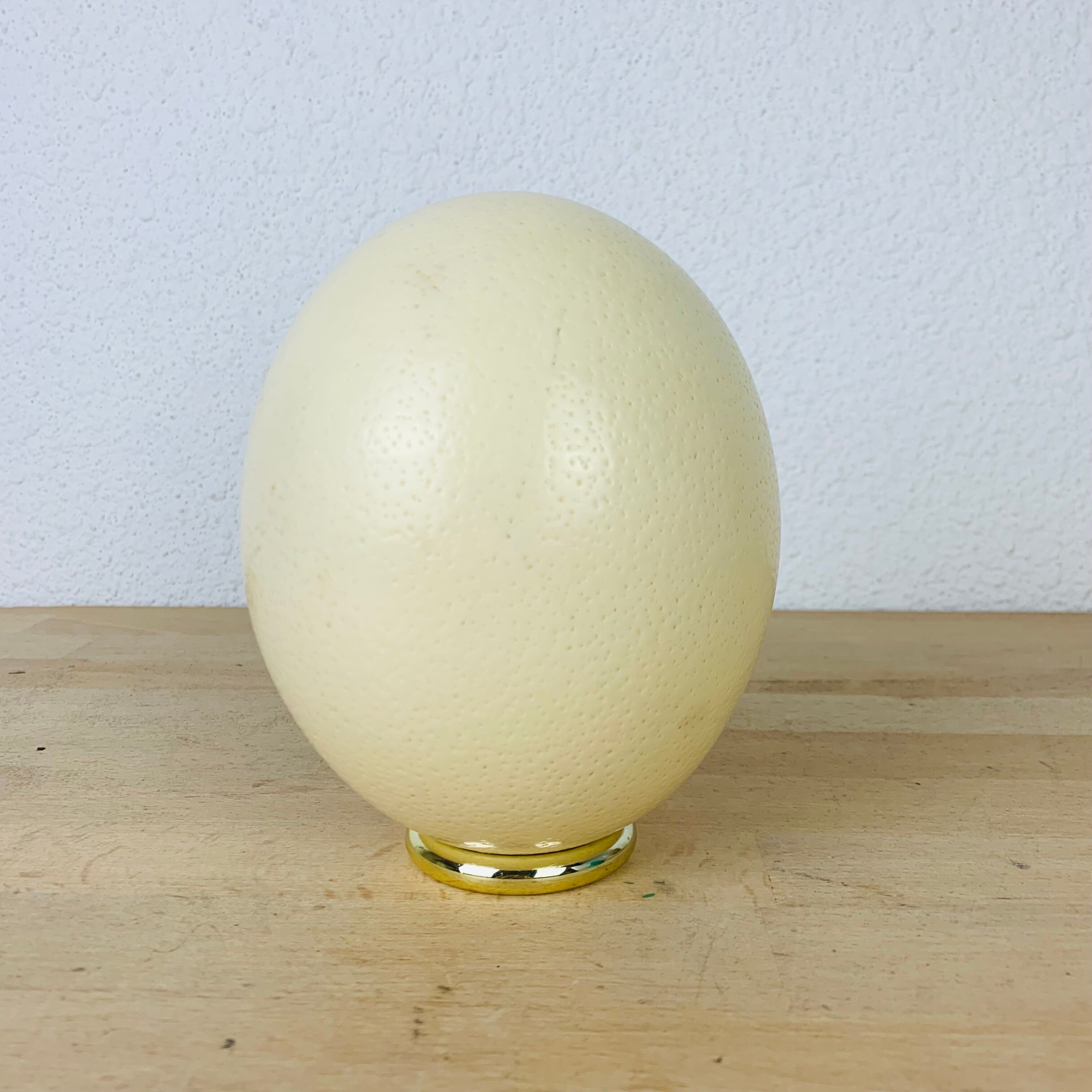 Golden ostrich egg object of curiosity