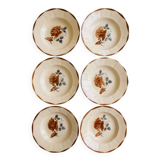 Lot de 6 assiettes creuses Digoin 9181