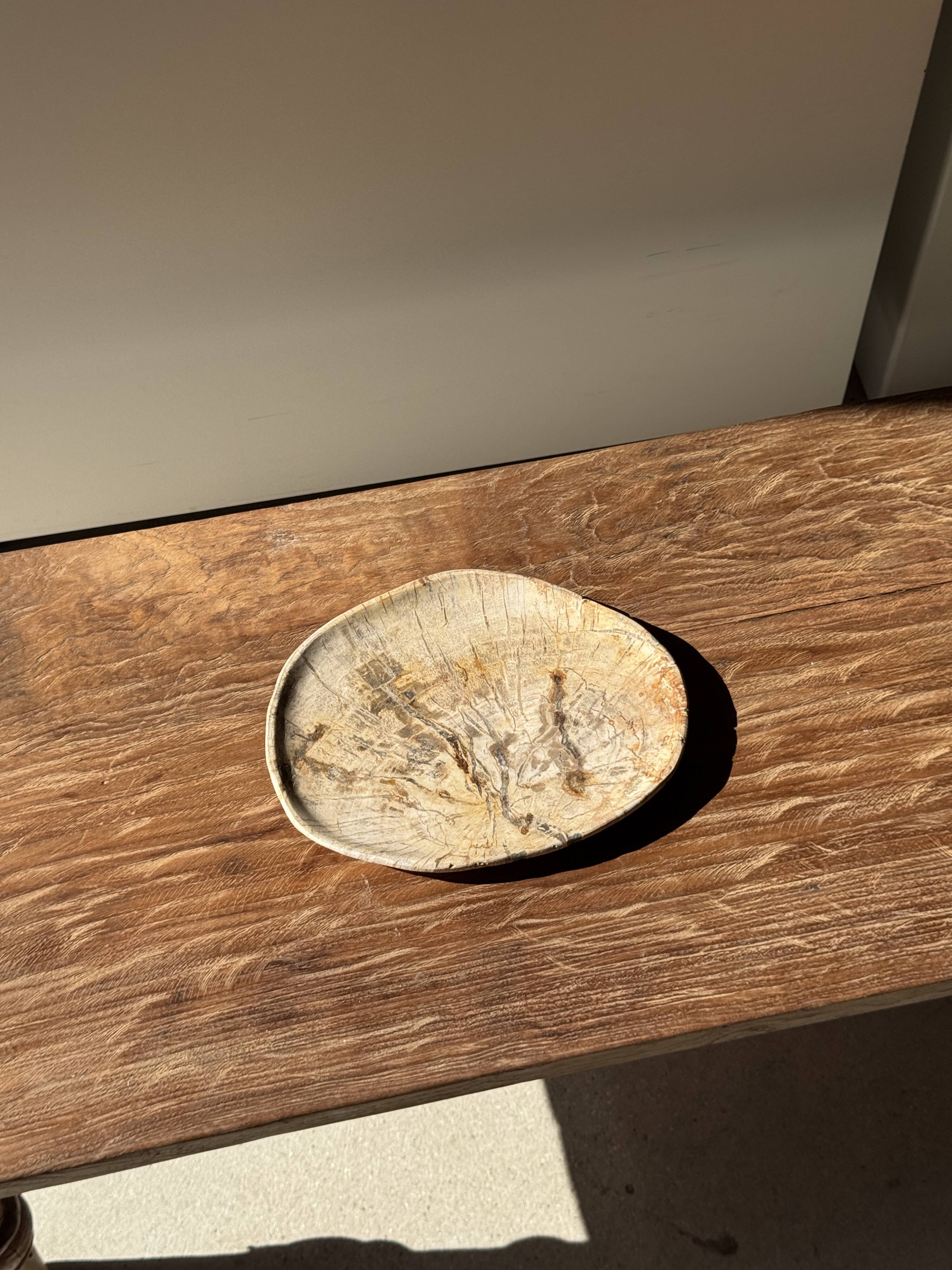 Small beige oval petrified wood dish or tray with crystals.