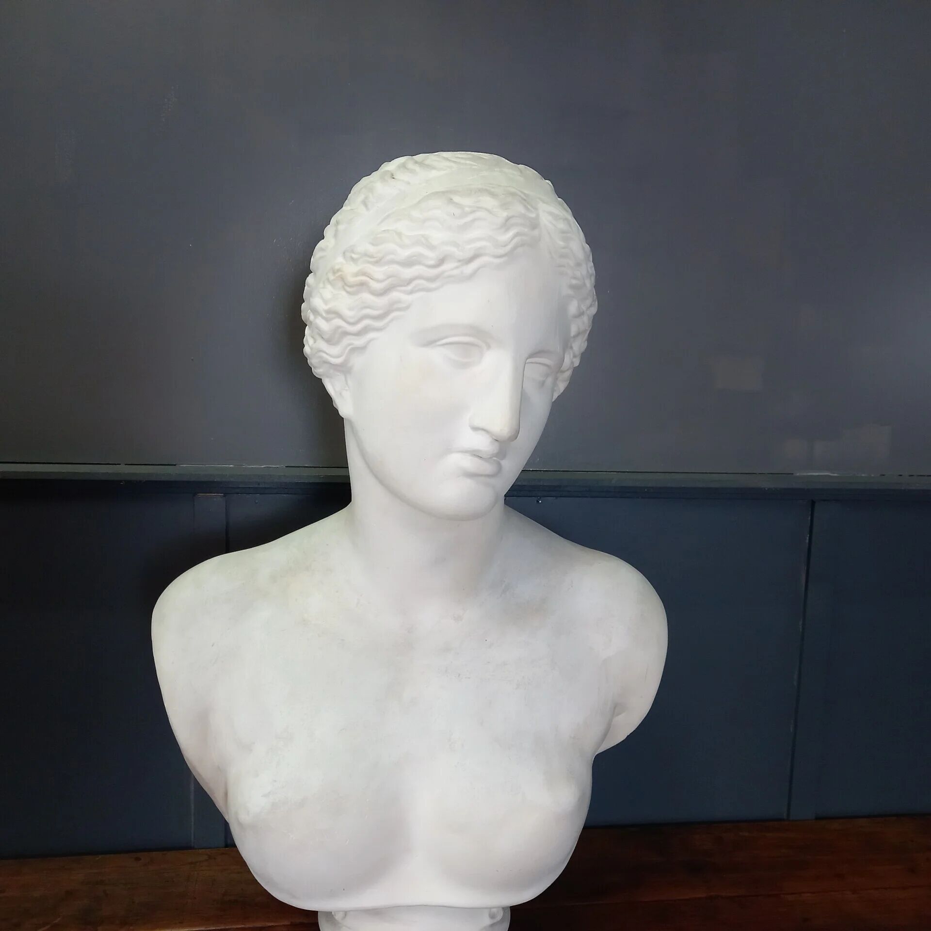 Grand buste de Vénus de Milo