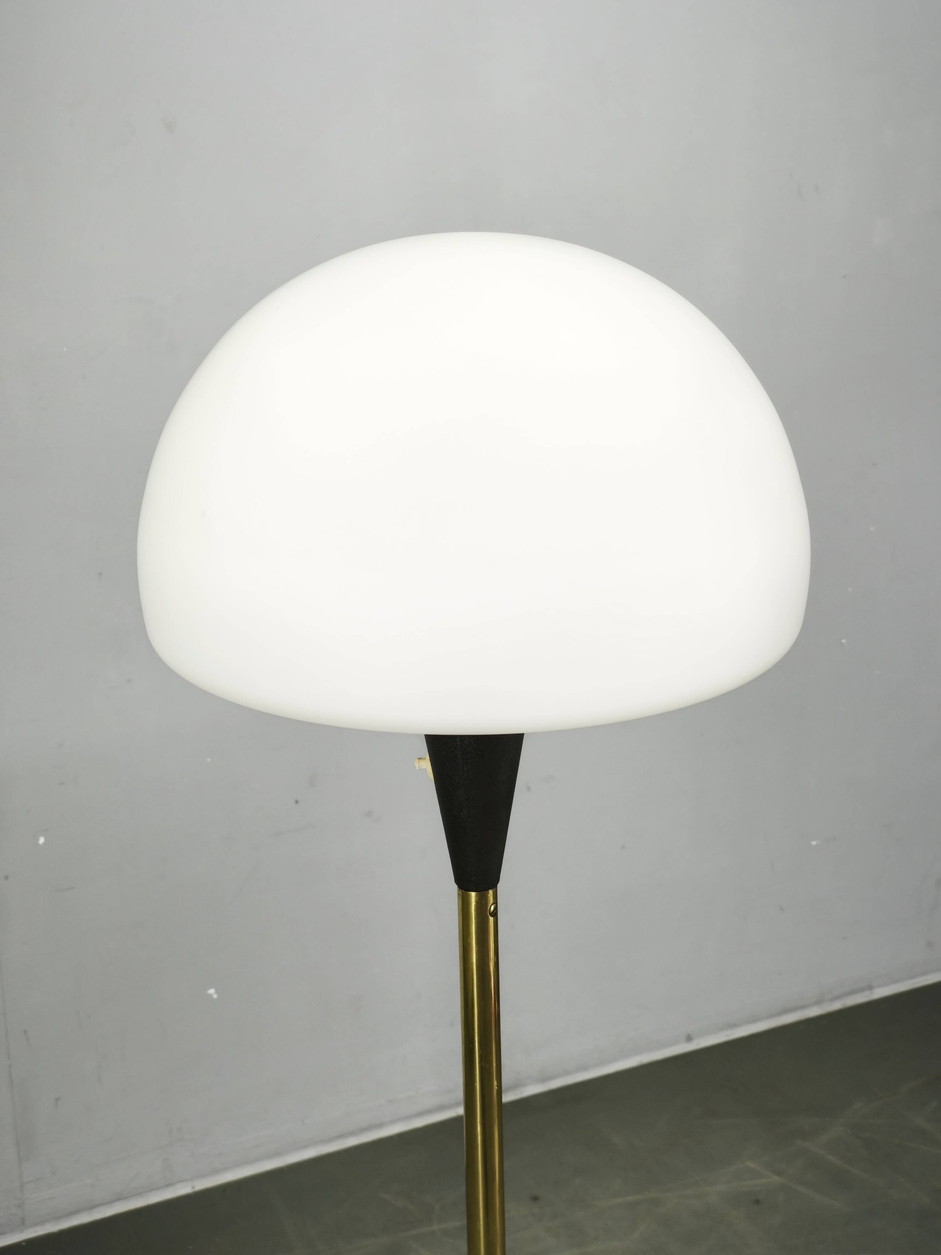 Lidokov Space Age Brass and Opaline Glass Floor Lamp, 1960s