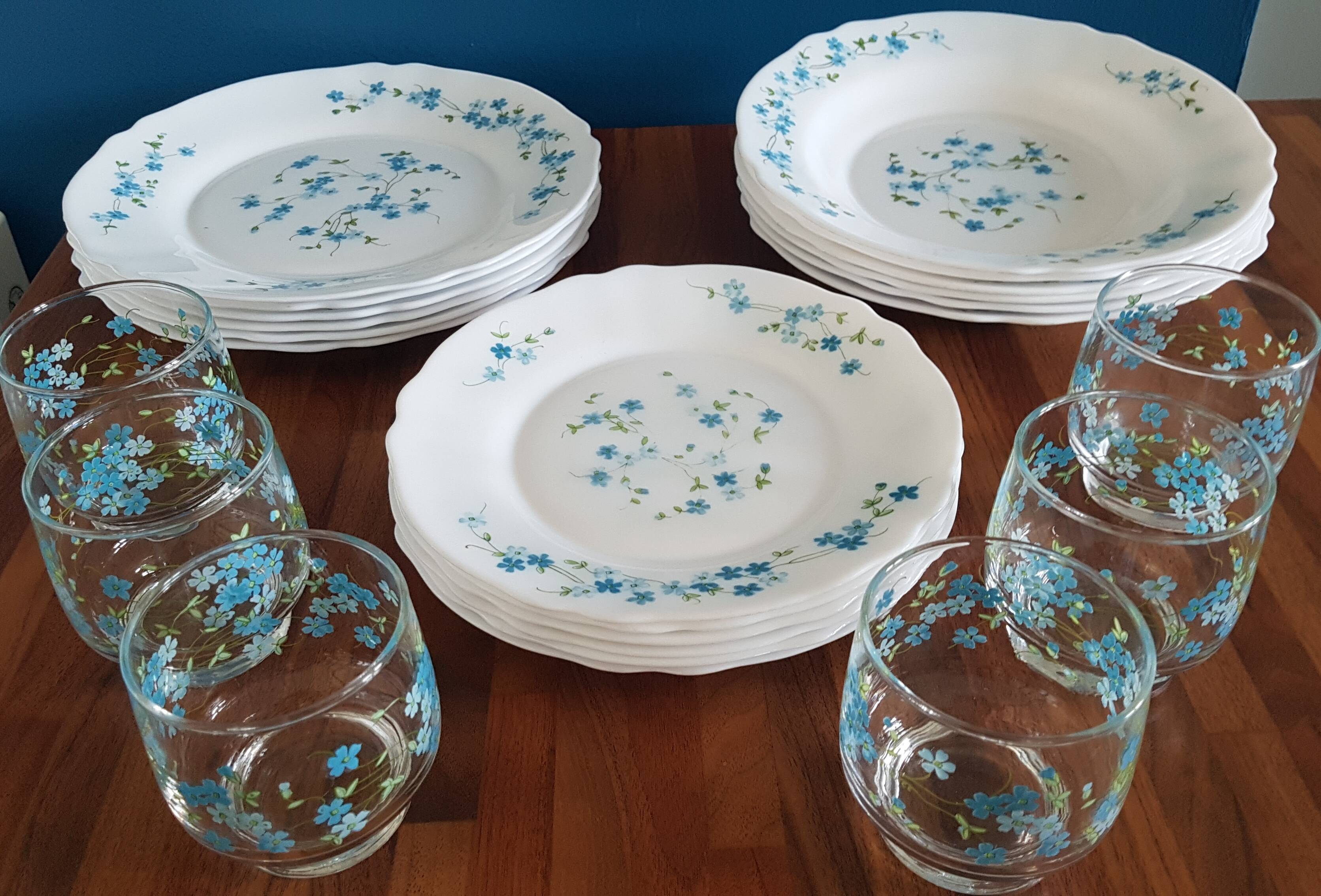 6 hollow plates arcopal myosotis veronica