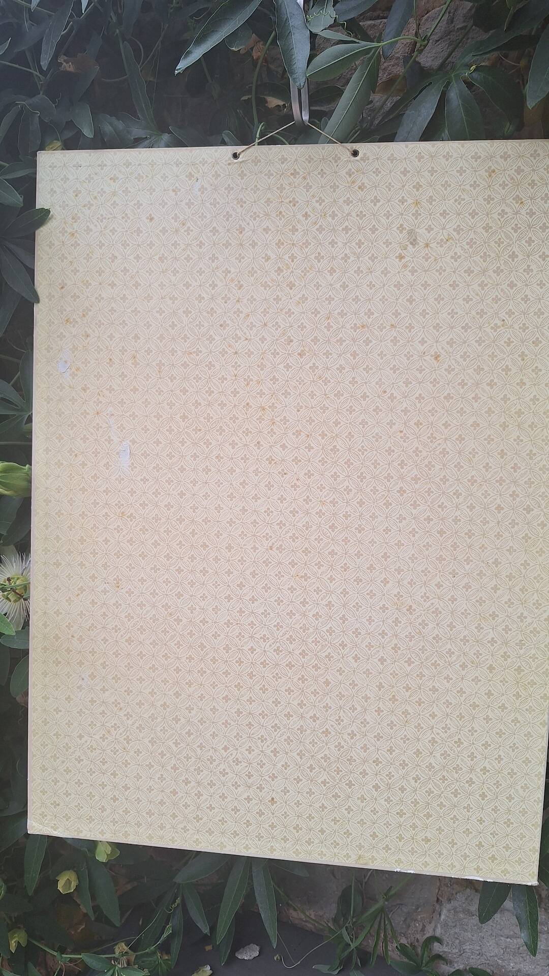 Planche pédagogique