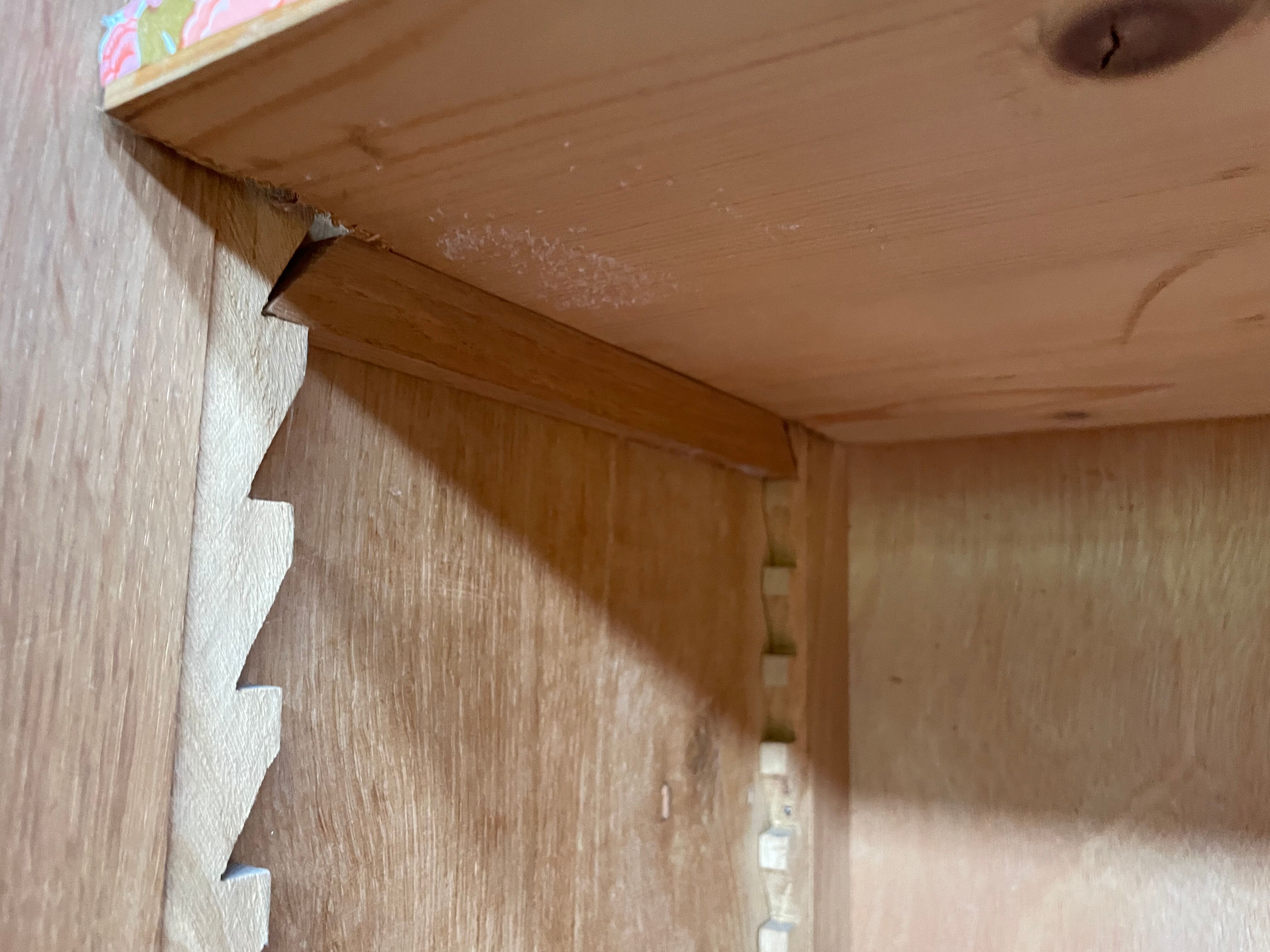 Administration cabinet in oak veneer 1950