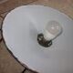old hanging lamp