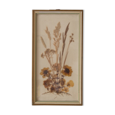 Herbier vintage