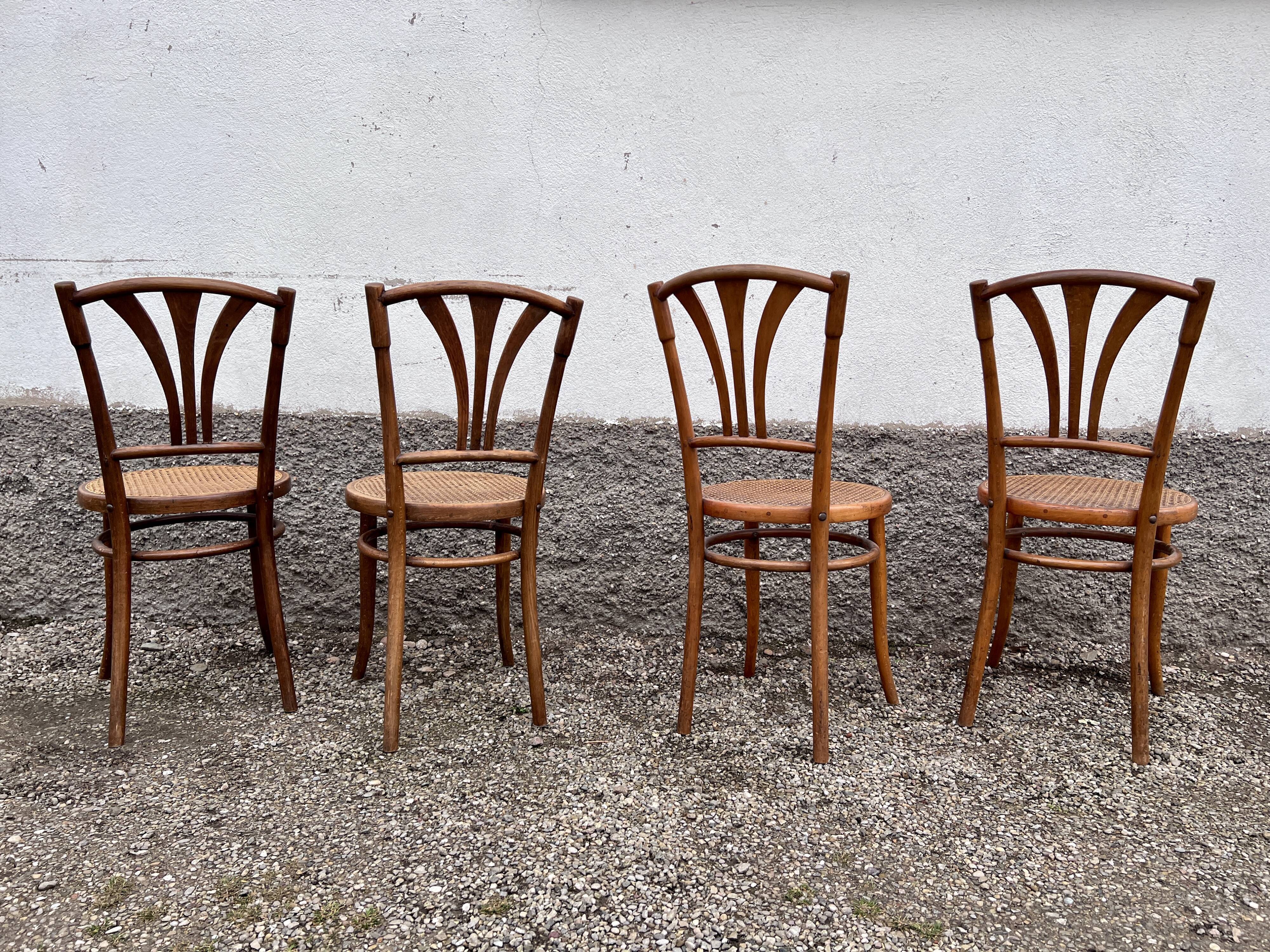Series of 4 wooden chairs and cannage