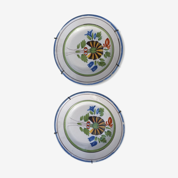 2 decorative plates