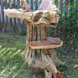 Teak root standing sink