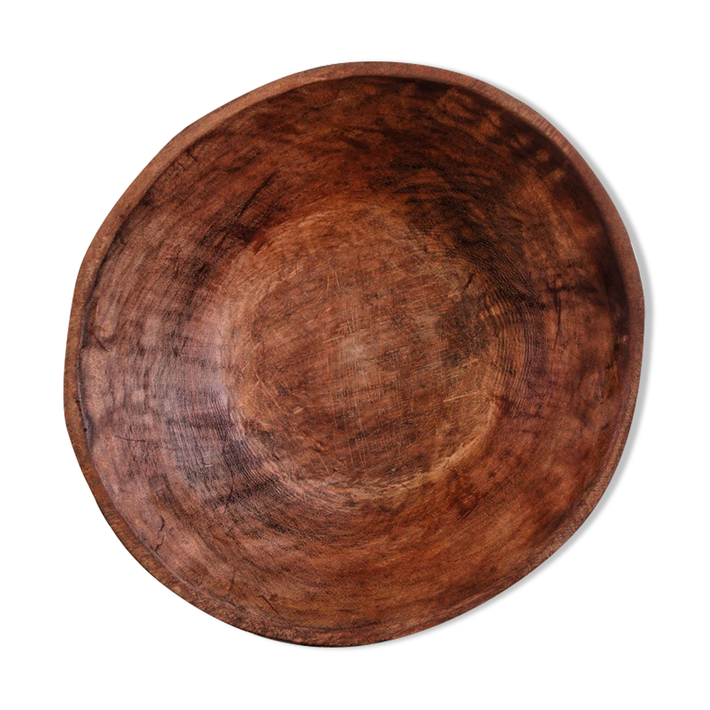 Raw wooden salad bowl