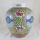 Vase chinois famille rose