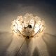 1 of 2 Floral Crystal Glass Wall Lamps by Ernst Palme