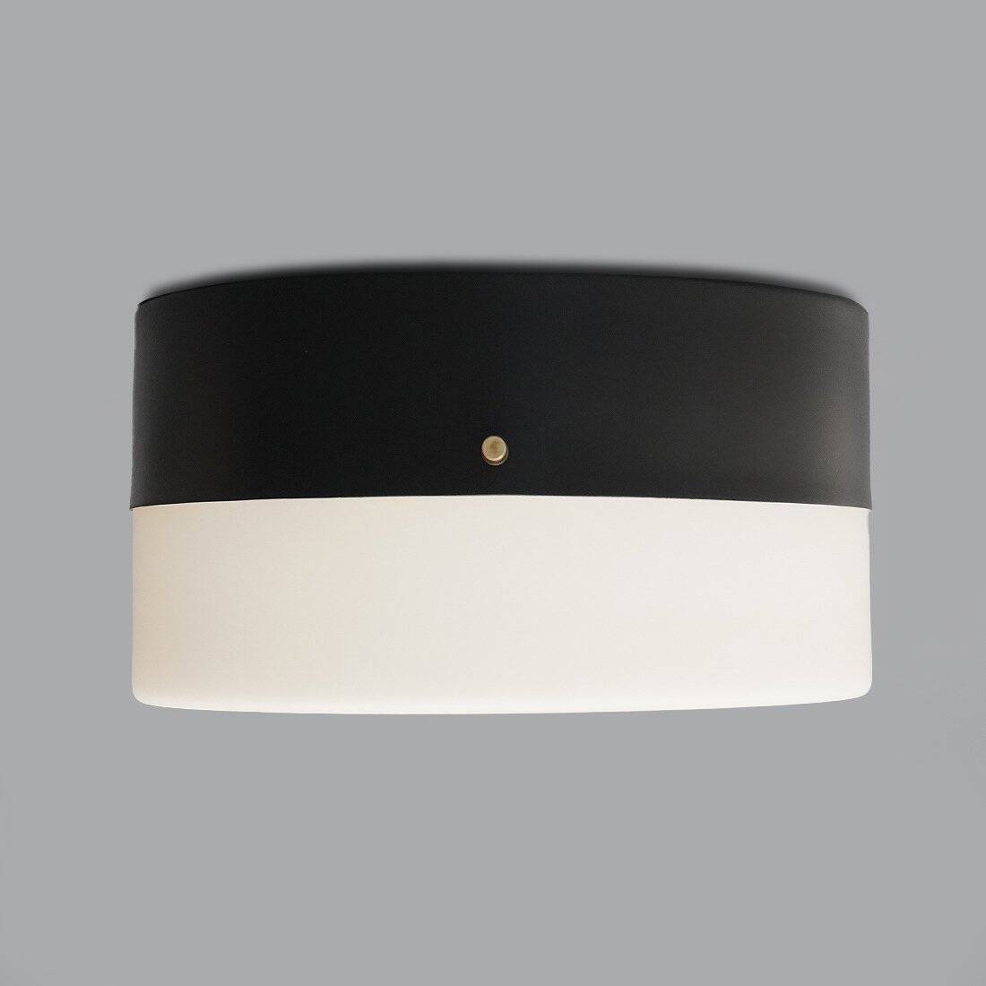 Vintage Opaline Glass Chandelier, 1950s