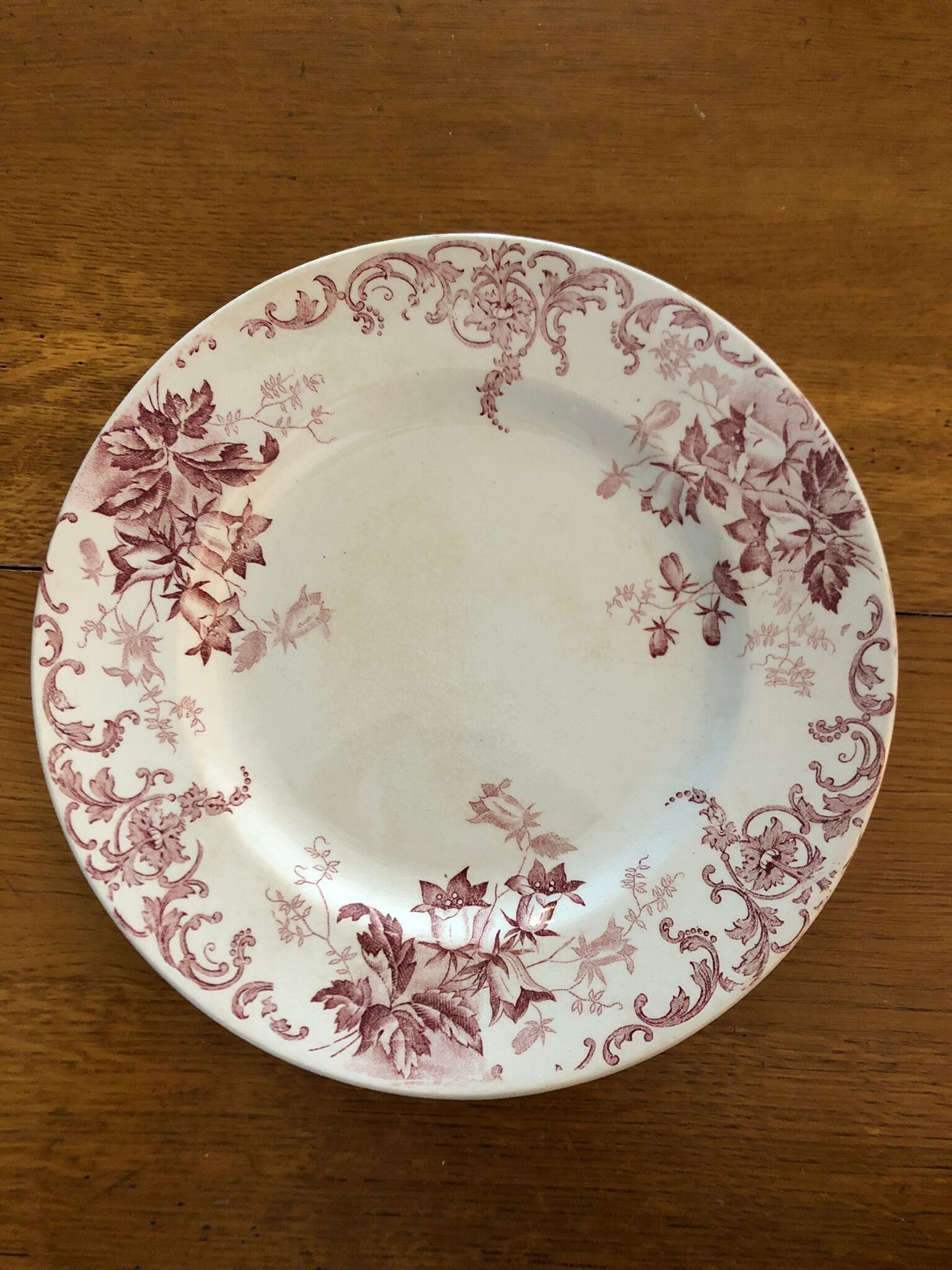 Flat plate Saint-Amand Campanule service