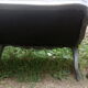Old bench 3 seats