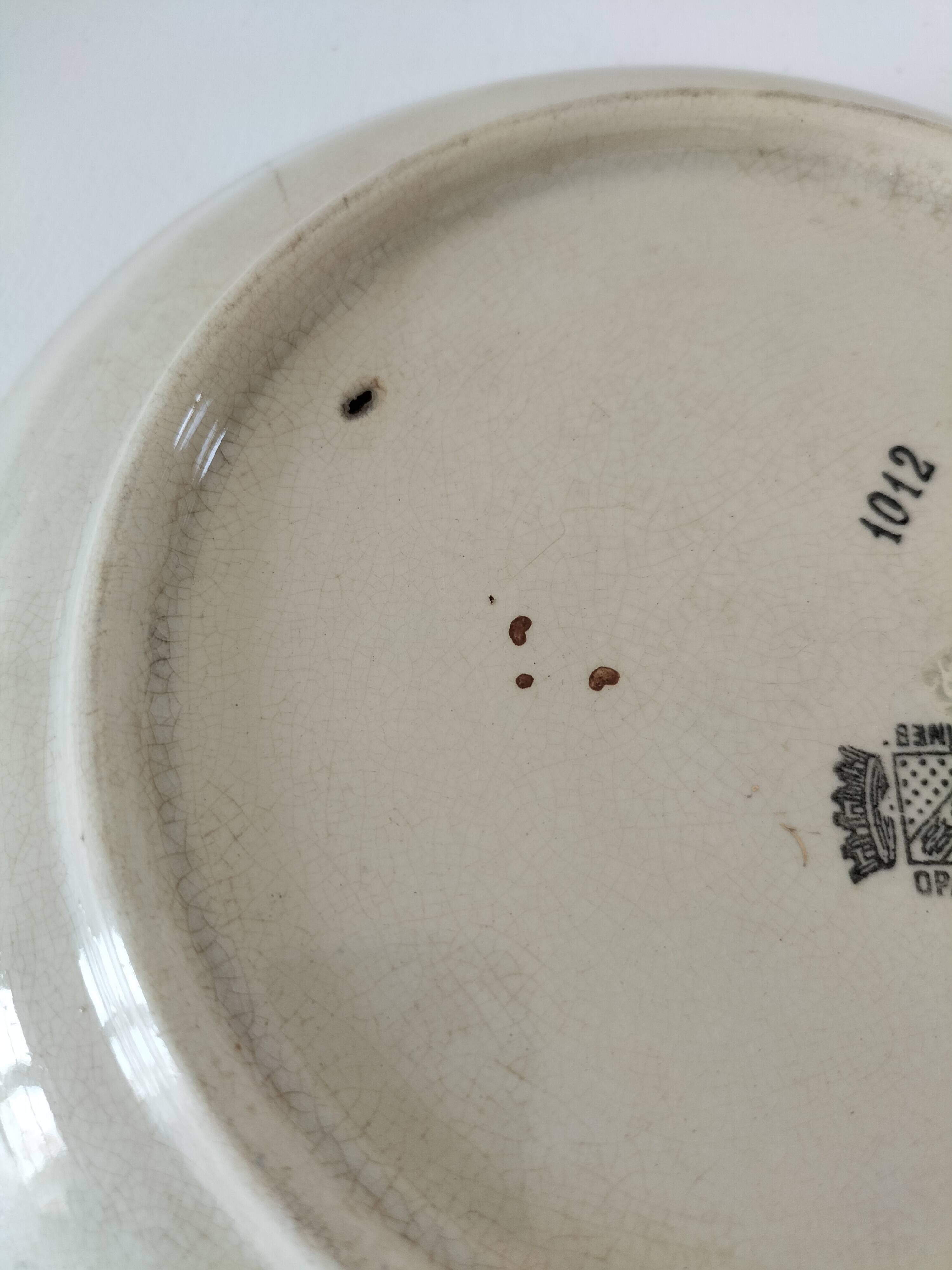 Plate in opaque Sarreguemines