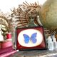 Naturalized butterfly frame