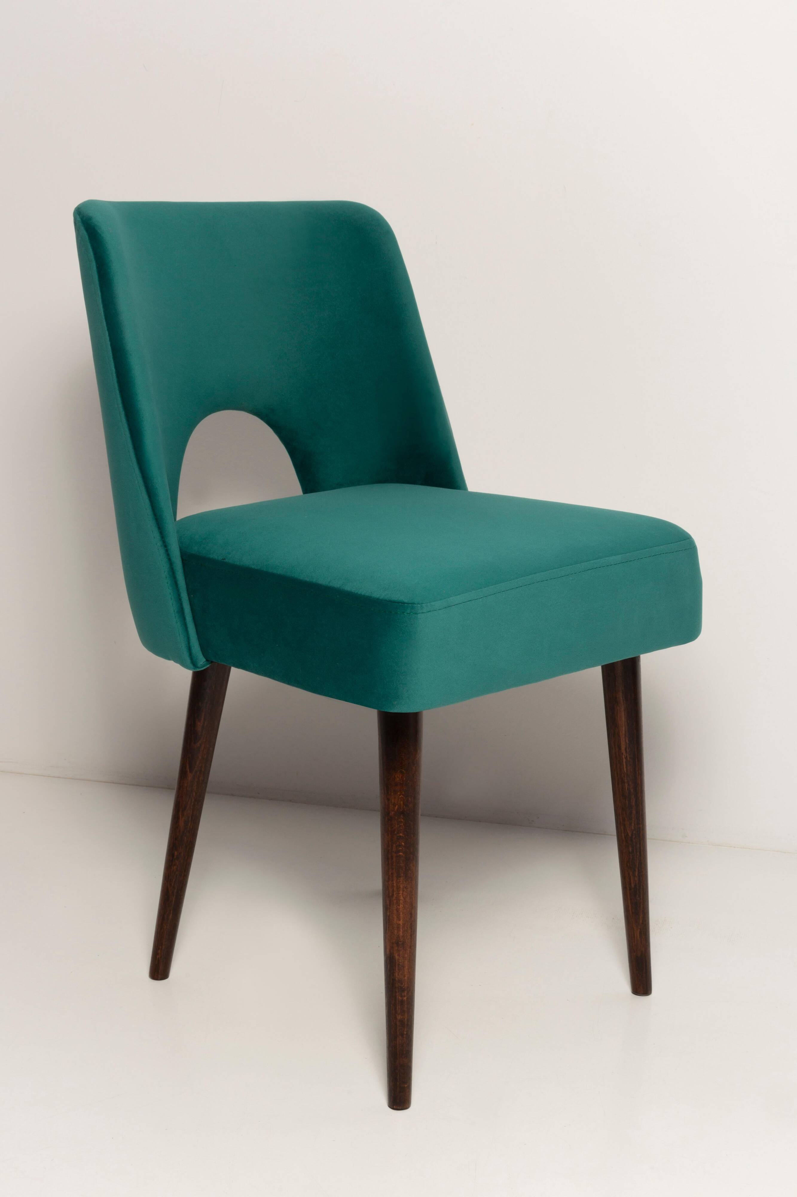 Chaise « shell » en velours crème et bois, Pologne, 1960s