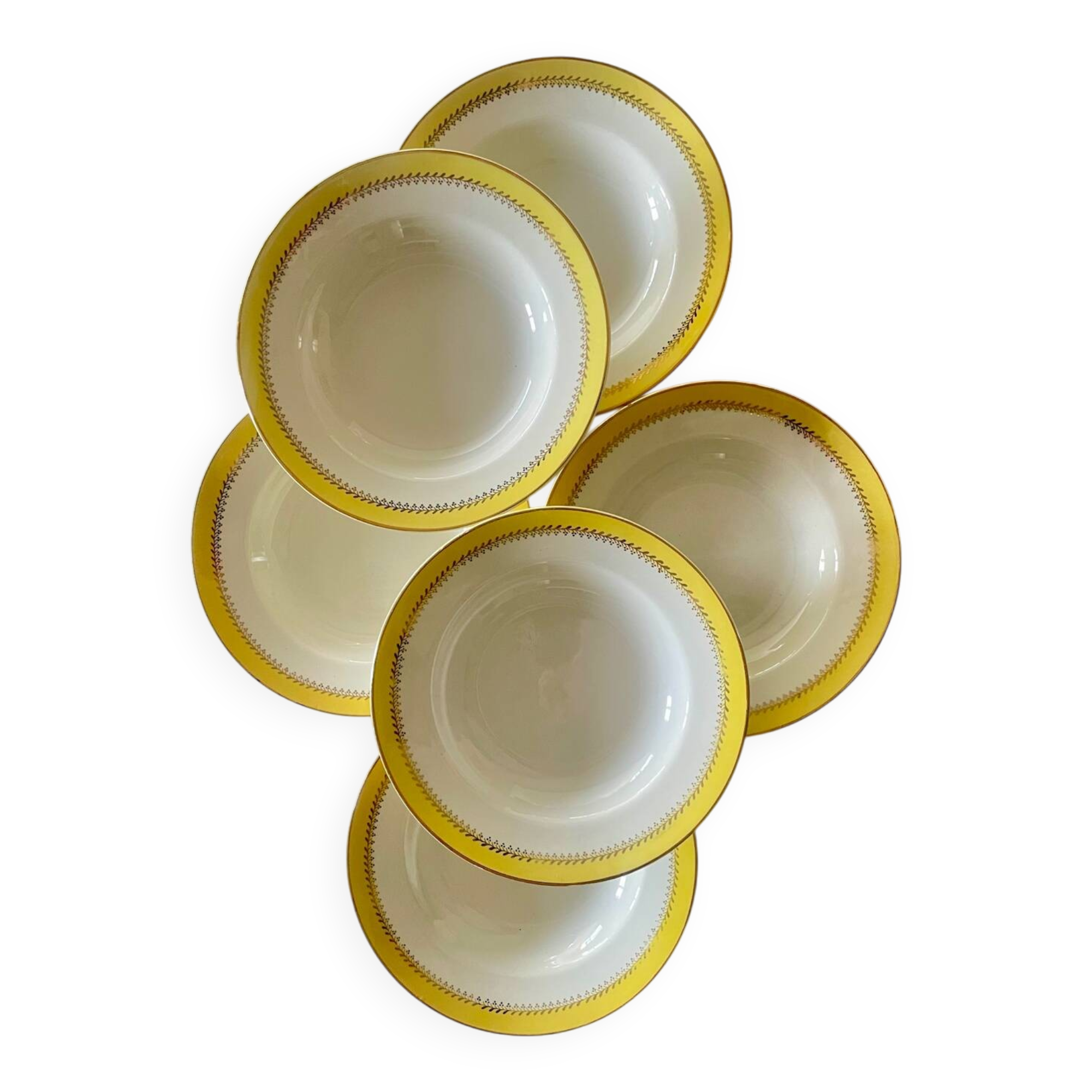 6 Biarritz earthenware soup plates