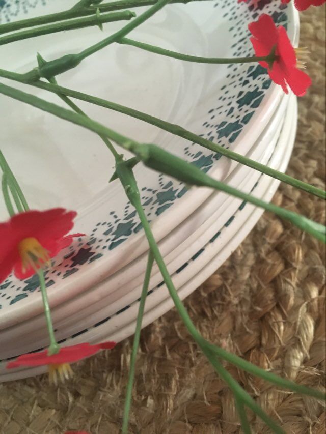 Assiettes creuses terre de fer Digoin Sarreguemines.