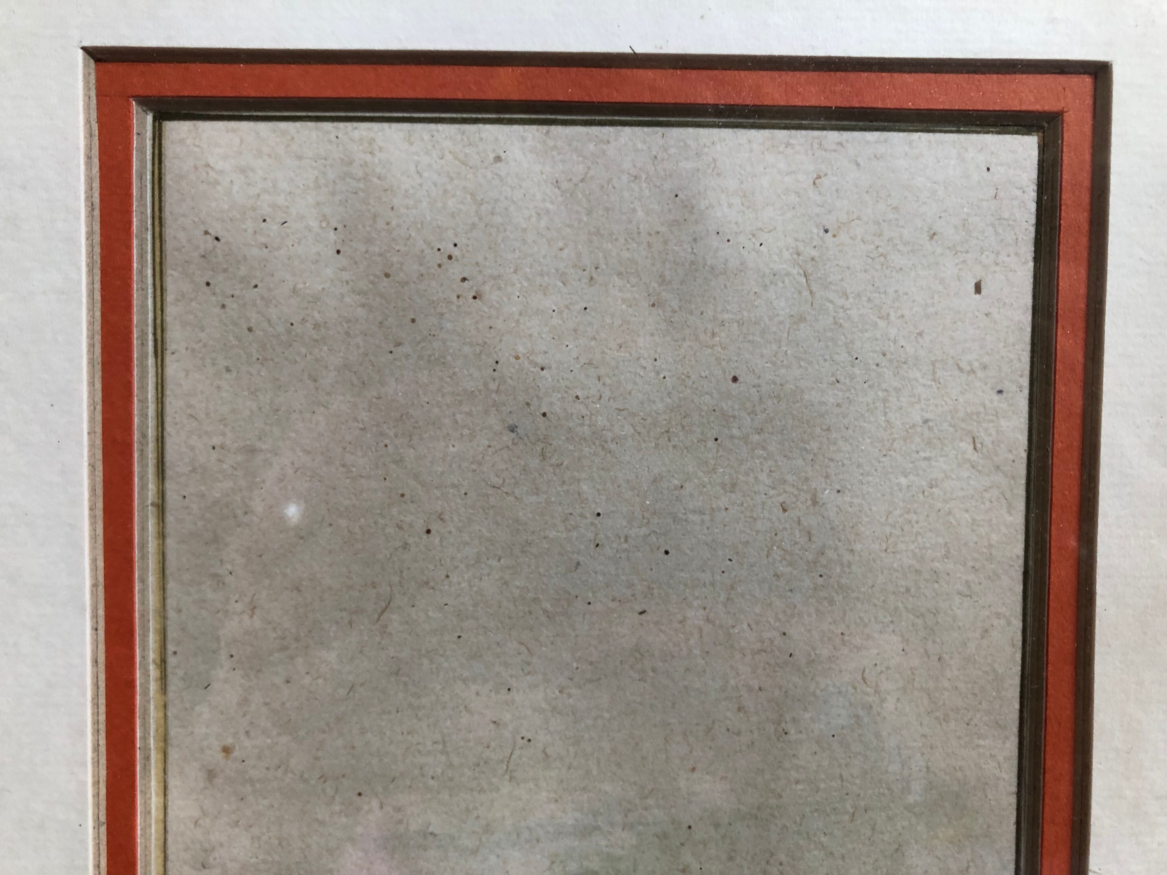 Old painting drawing watercolor duck view + vintage golden frame