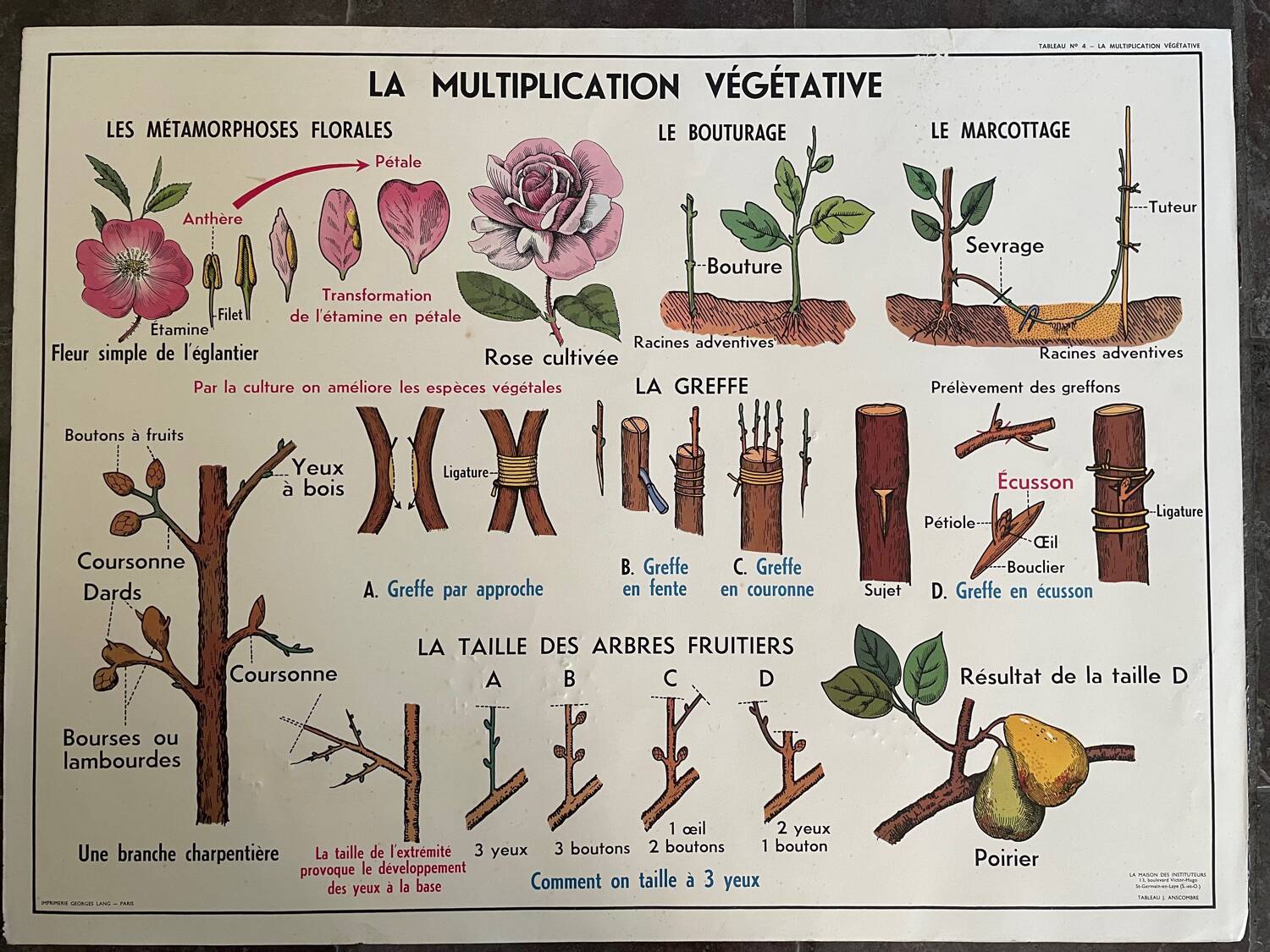 Old school educational poster, school