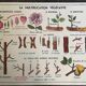 Old school educational poster, school