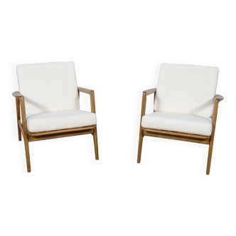 Mid-Century Model 300-139 Armchairs from Swarzędzka Factory, 1960s, Set of 2