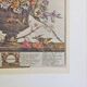 Lot of 19th century Floral Engravings - Vintage Art Print Flowers - 12 months - Robert Furber