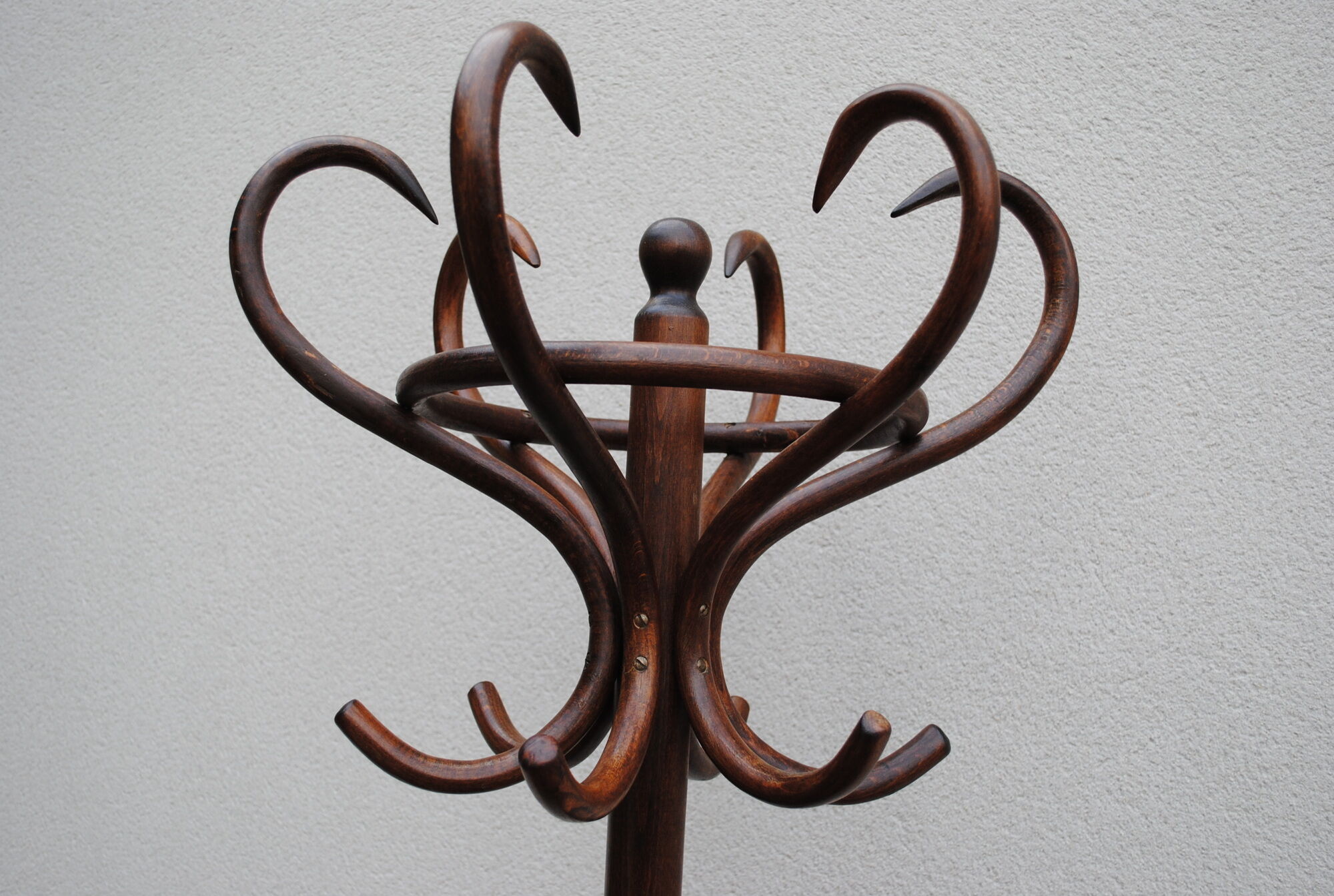 Parrot coat rack wood curved 1950s