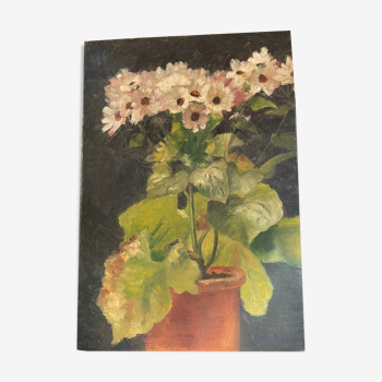 Huile sur toile fleurs en pot 1900