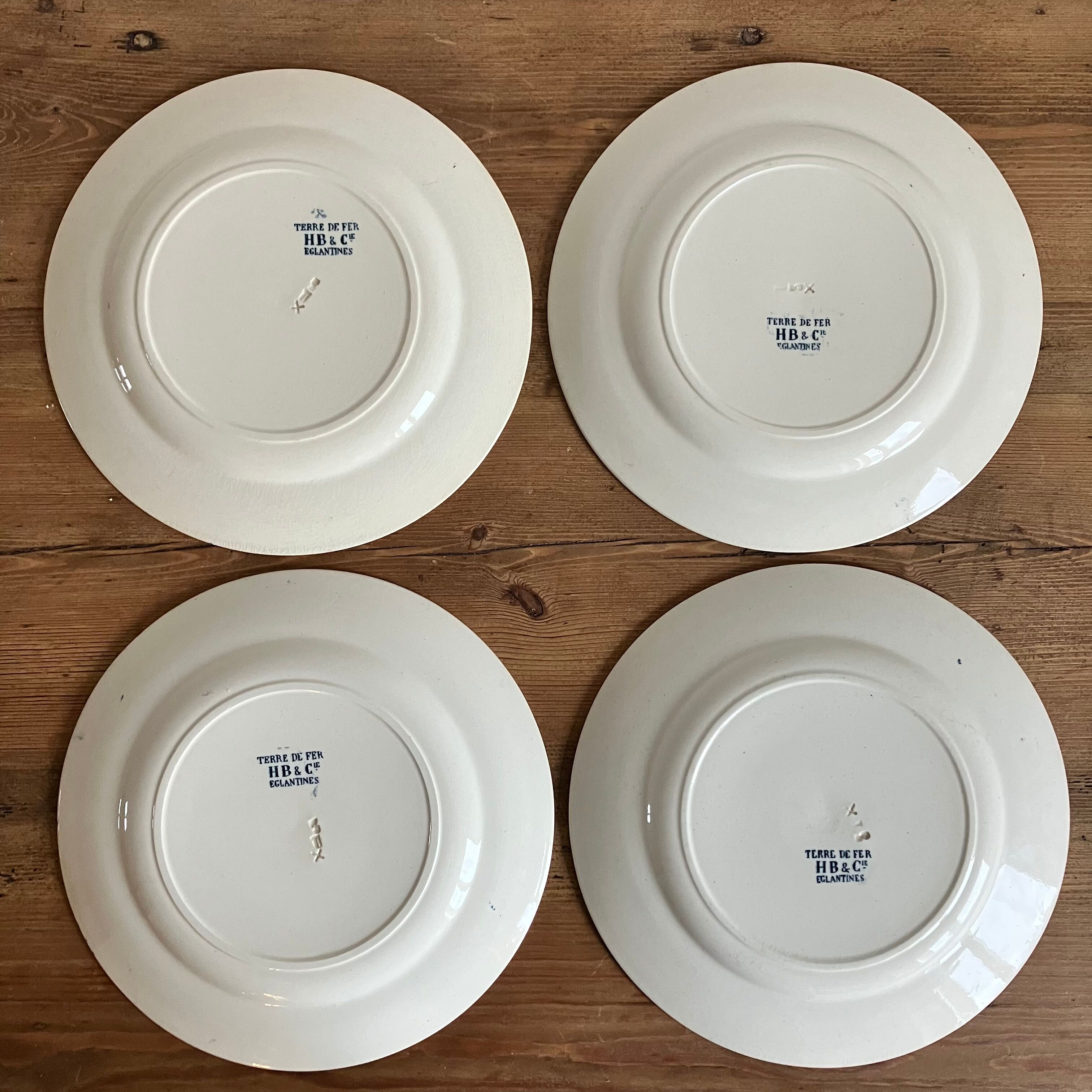 4 flat plates Terre de Fer, Eglantine model
