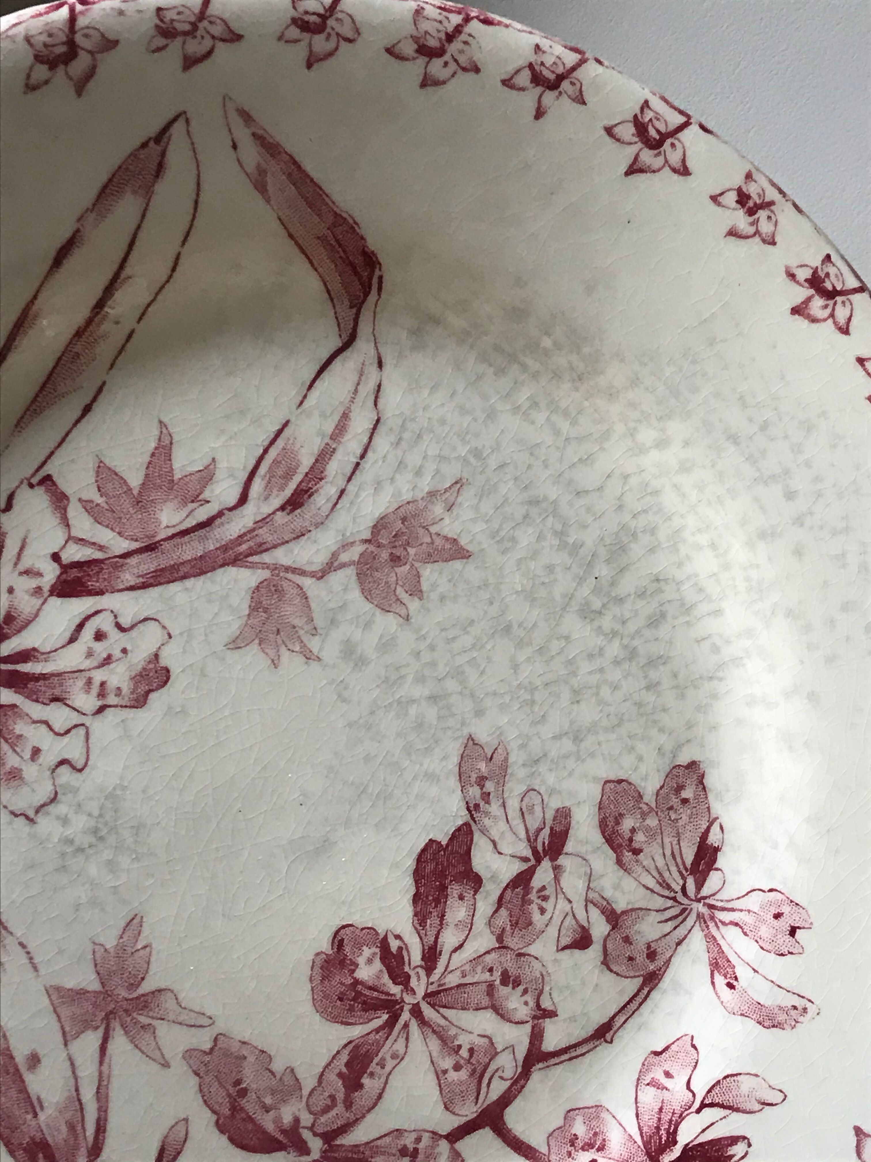 Lot of 6 plates Gien Iron Earth